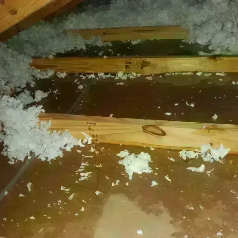 Attic Water Damage in Centerburg, OH