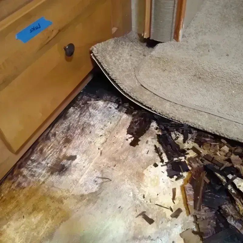 Wood Floor Water Damage in Centerburg, OH